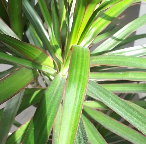 Tocando El Cielo, Con Parking Incluido Διαμέρισμα Τερουέλ